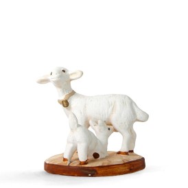 Brebis et agneau