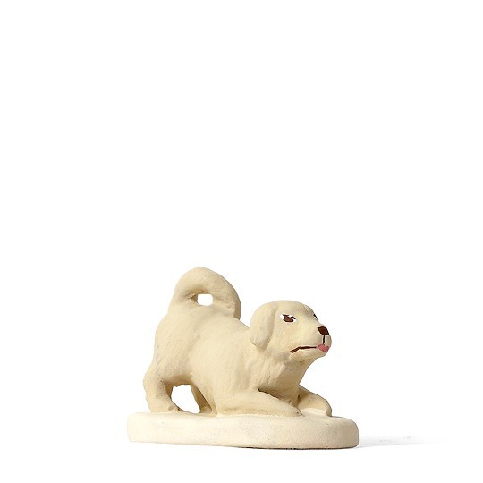Chien joueur Chien joueur